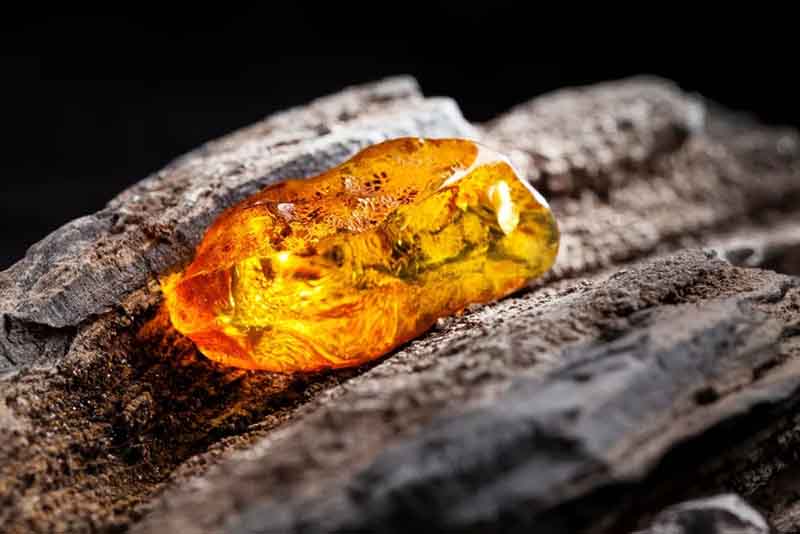 عطر ويلسون: تخصيص رائحتك الحصرية
